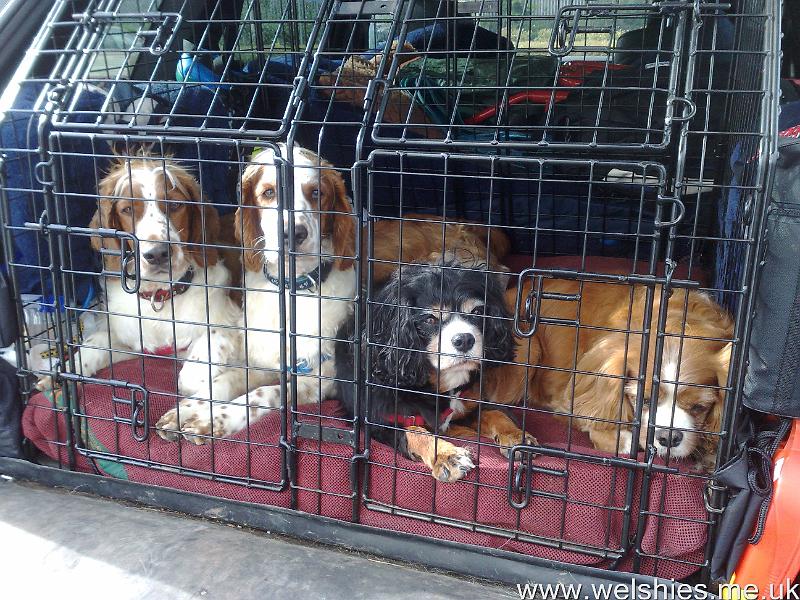 2011-08-14 02.jpg - All settled in our car cage